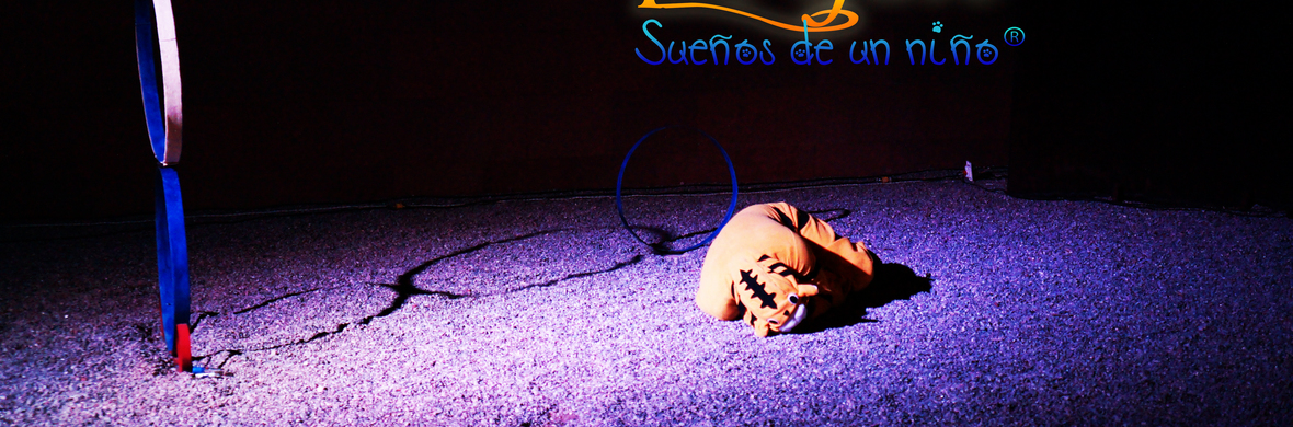 El gato: Sueños de un niño - Performing Arts Shows - StageLync